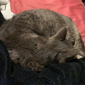 Meet your Posher, Susan